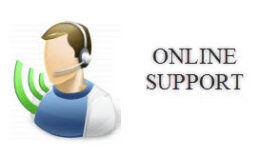 Supporto online